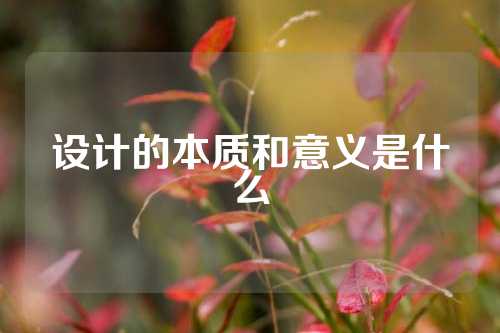 设计的本质和意义是什么