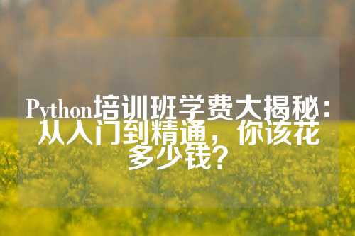 Python培训班学费大揭秘：从入门到精通，你该花多少钱？