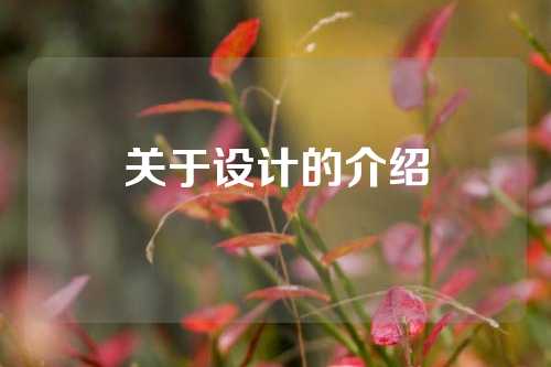 关于设计的介绍
