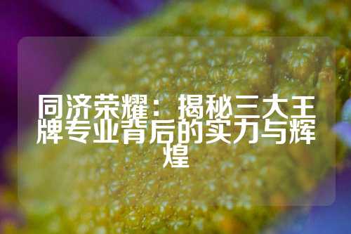 同济荣耀：揭秘三大王牌专业背后的实力与辉煌