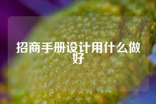招商手册设计用什么做好