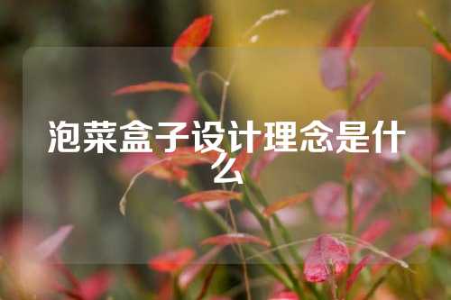 泡菜盒子设计理念是什么