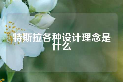 特斯拉各种设计理念是什么