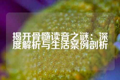 揭开骨髓读音之谜：深度解析与生活案例剖析