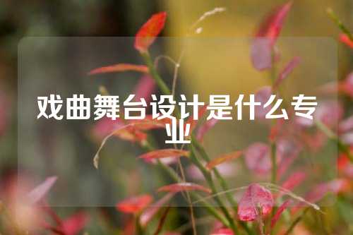 戏曲舞台设计是什么专业