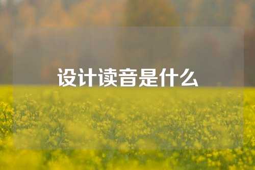 设计读音是什么