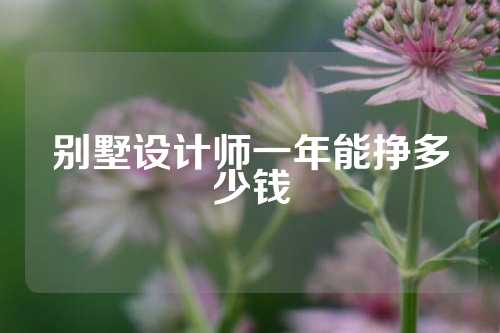 别墅设计师一年能挣多少钱