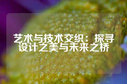 艺术与技术交织：探寻设计之美与未来之桥