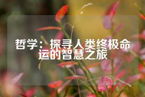 哲学：探寻人类终极命运的智慧之旅
