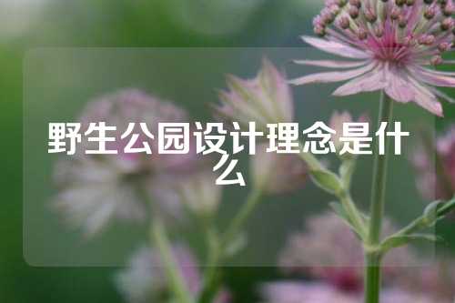 野生公园设计理念是什么