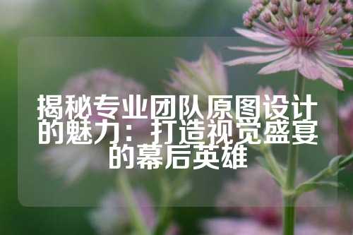 揭秘专业团队原图设计的魅力：打造视觉盛宴的幕后英雄