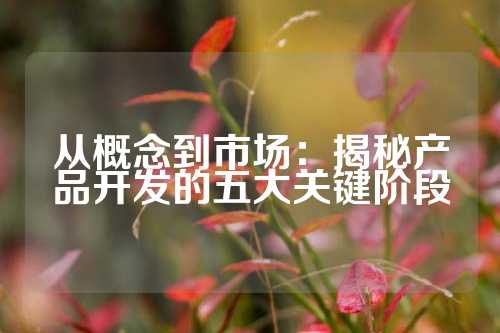 从概念到市场:揭秘产品开发的五大关键阶段