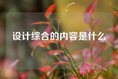 设计综合的内容是什么
