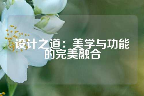 设计之道：美学与功能的完美融合