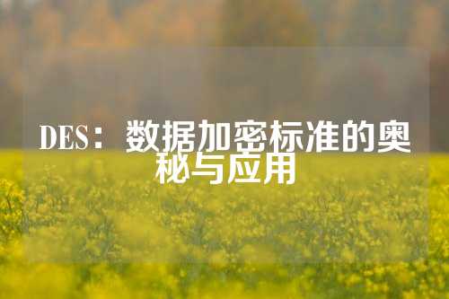 DES：数据加密标准的奥秘与应用