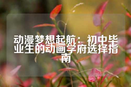 动漫梦想起航：初中毕业生的动画学府选择指南