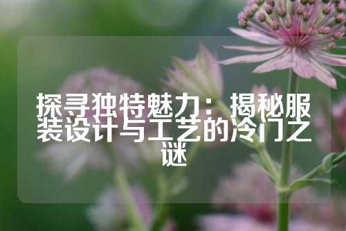 探寻独特魅力：揭秘服装设计与工艺的冷门之谜