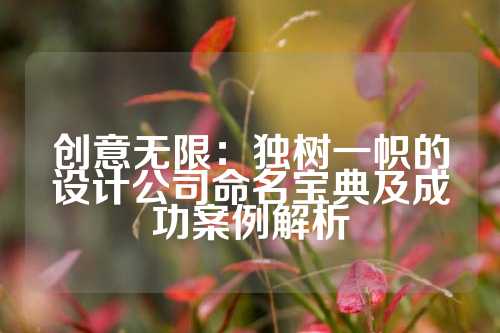 创意无限:独树一帜的设计公司命名宝典及成功案例解析