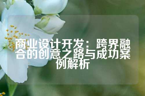 商业设计开发：跨界融合的创意之路与成功案例解析