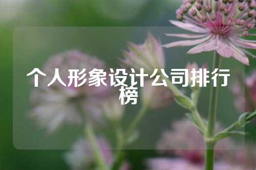 个人形象设计公司排行榜