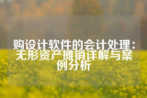 购设计软件的会计处理：无形资产摊销详解与案例分析