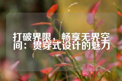 打破界限，畅享无界空间：贯穿式设计的魅力