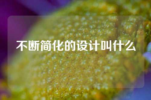 不断简化的设计叫什么
