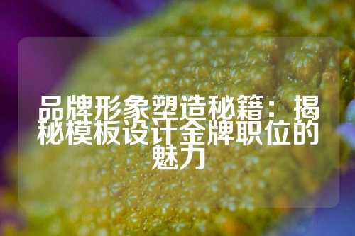品牌形象塑造秘籍：揭秘模板设计金牌职位的魅力