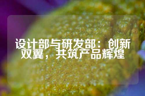 设计部与研发部：创新双翼，共筑产品辉煌