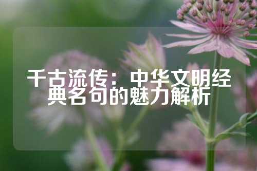 千古流传：中华文明经典名句的魅力解析