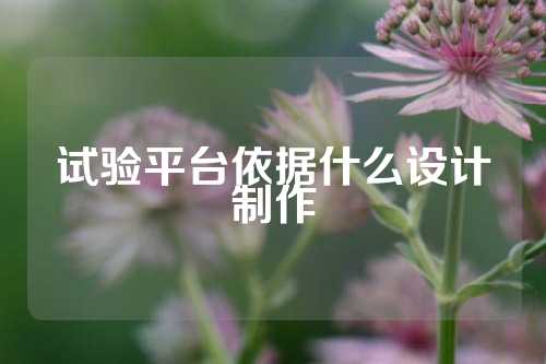 试验平台依据什么设计制作