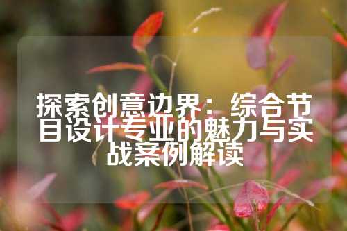 探索创意边界：综合节目设计专业的魅力与实战案例解读