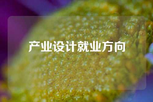 产业设计就业方向