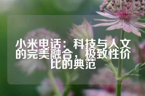 小米电话：科技与人文的完美融合，极致性价比的典范