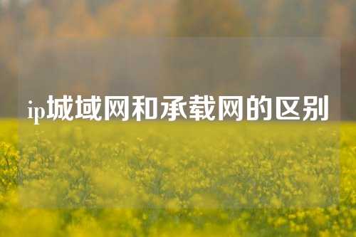 ip城域网和承载网的区别