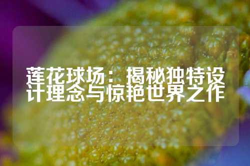 莲花球场：揭秘独特设计理念与惊艳世界之作