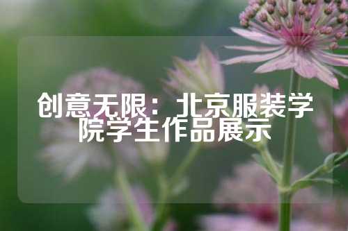 创意无限：北京服装学院学生作品展示