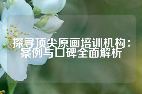 探寻顶尖原画培训机构：案例与口碑全面解析