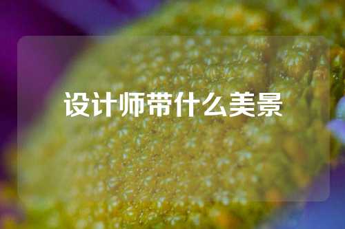 设计师带什么美景