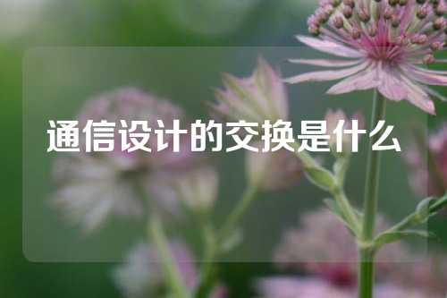 通信设计的交换是什么