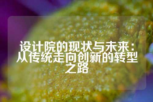 设计院的现状与未来：从传统走向创新的转型之路