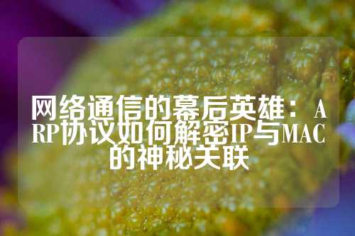 网络通信的幕后英雄：ARP协议如何解密IP与MAC的神秘关联