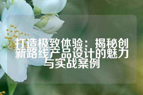 打造极致体验：揭秘创新路线产品设计的魅力与实战案例