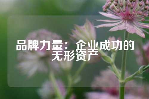 品牌力量:企业成功的无形资产