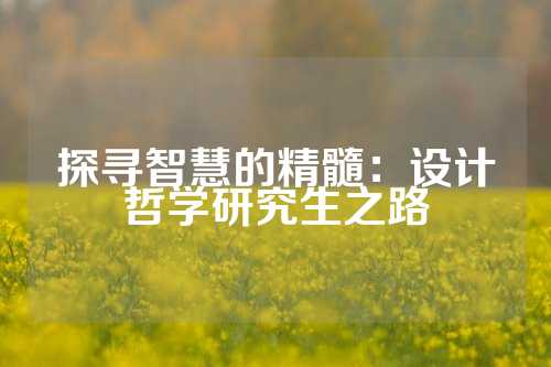 探寻智慧的精髓：设计哲学研究生之路