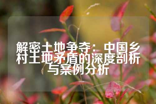 解密土地争夺:中国乡村土地矛盾的深度剖析与案例分析