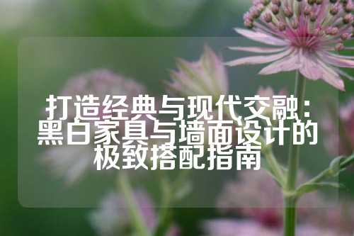 打造经典与现代交融：黑白家具与墙面设计的极致搭配指南