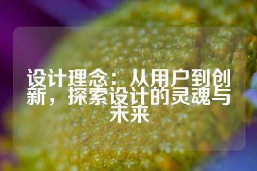 设计理念：从用户到创新，探索设计的灵魂与未来
