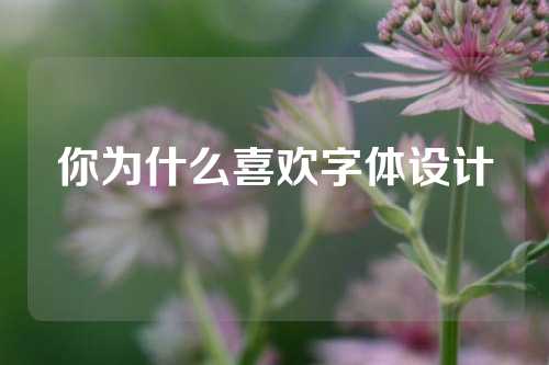 你为什么喜欢字体设计