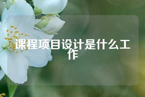课程项目设计是什么工作